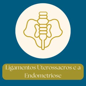 ligamentos uterossacros