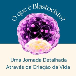 blastocisto